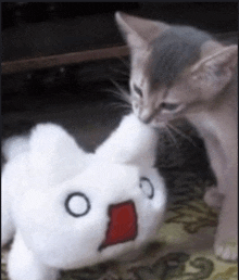 a kitten is playing with a stuffed animal that has a red mouth