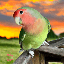 a green parrot with a red head is sitting on a wooden fence with the year 2014 on the bottom