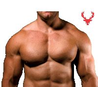 a man 's chest is shown with a red deer head behind him