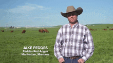 a man in a plaid shirt and cowboy hat stands in a grassy field with cows in the background