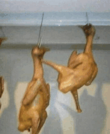 two chickens are hanging from hooks on a ceiling .