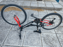 a black and red bicycle with the word ellmont on the side