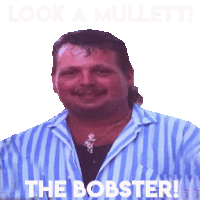 a man in a striped shirt says " the bobster "