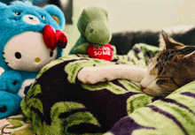 a cat laying on a blanket next to a stuffed animal that says " raw some "