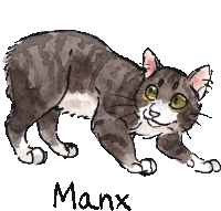 a drawing of a cat with the name manx written underneath it