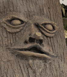 a statue of a face carved into a tree