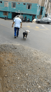 a man is walking a dog on a leash on a street