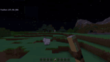 a screenshot of a minecraft game shows a sheep in the grass