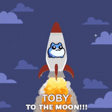 a rocket with a cat on it is flying through the air with the words toby to the moon written below it