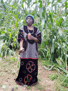 an elderly woman in a black and white dress is standing in a field of corn