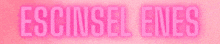 a pink neon sign that says escinsel enes on it