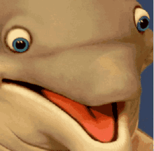 a close up of a cartoon dolphin with blue eyes