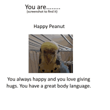 a picture of a parakeet with a caption that says " you are happy peanut "