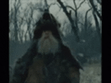 a man with a beard is standing in the woods in a blurry photo .