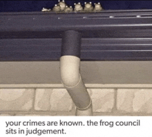 a group of frogs sitting on top of a gutter with a caption that says your crimes are known