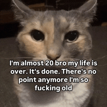 a cat with the words i 'm almost 20 bro my life is over on it