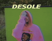 a man in a pink hoodie is covering his face in front of a green background with the word desole above him