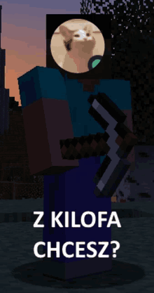 a minecraft character with a picture of a cat and the words z kilofa chcesz