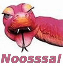 a picture of a snake with its mouth open and the words noosssa written below it