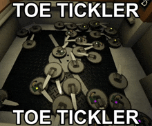 a screenshot of a video game with the words toe tickler toe tickler