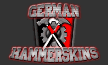 a logo for german hammerskins with two crossed hammers and gears