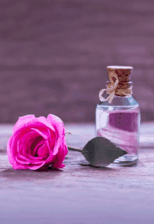 a pink rose sits next to a bottle of water with a cork