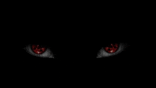 a pair of red eyes in the dark with a black background .