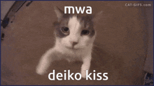 a close up of a cat 's face with the words mwa deiko kiss above it