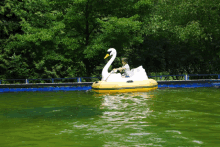 a child is riding a yellow and white swan shaped boat