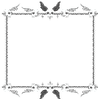 a black and white frame with feathers and flowers on a white background