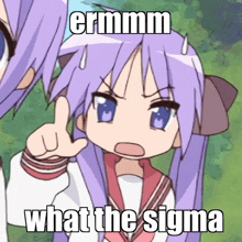 a picture of a girl with purple hair and a caption that says ermm what the sigma