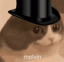 a cat wearing a top hat with the word melvin written below it