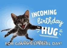 a cat is jumping in the air with the words incoming birthday hug