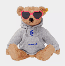 a teddy bear wearing a hoodie that says casperw.eth