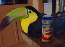 a can of kobanyal beer sits next to a toucan