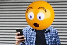 a man is holding a cell phone with a smiley face on his head .