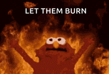 elmo is surrounded by flames with the words let them burn below him