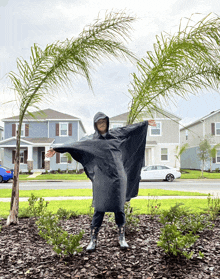 a person wearing a black raincoat is standing in front of a palm tree