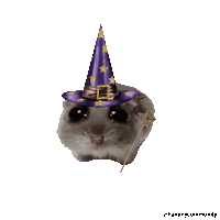 a hamster wearing a purple witch hat with gold stars and a wand