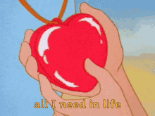 a cartoon of a person holding a red heart with the words all i need in life written below it .