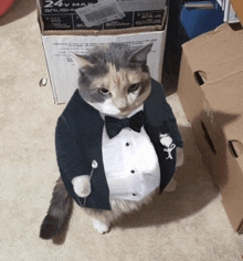 a cat wearing a tuxedo and bow tie is standing in front of a 24v max brushless box