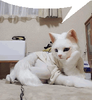 a white cat is laying on a bed with a speech bubble above it that says ' snoopy '