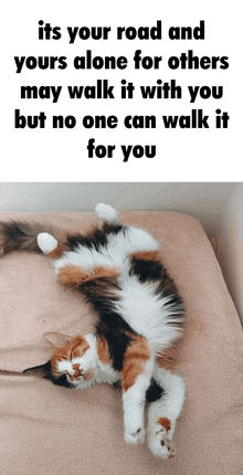 a calico cat laying on its back on a bed with a caption that says its your road and yours alone for others