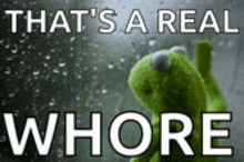 a kermit the frog is looking out a window with the words that 's a real whore below him