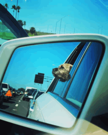 a dog sticking its head out the window of a car