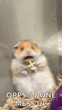 a hamster holding a cross with the words opps i done mess up behind it