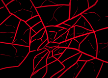 a black background with red lines that look like spider webs