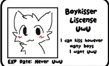 a drawing of a cat with a license plate that says boykisser license uwu .