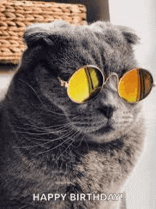 a cat wearing sunglasses and a happy birthday greeting .