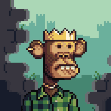 a pixel art of a monkey with a crown on its head